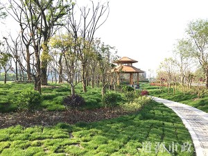 濱江工業(yè)園區(qū)-通揚路